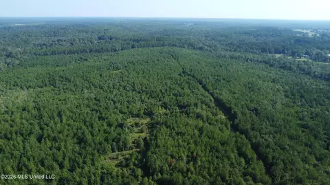 156 3 Acres Beesley Rd, Lucedale, MS 39452 photo 22