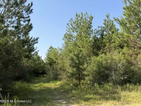 156 3 Acres Beesley Rd, Lucedale, MS 39452 photo 7