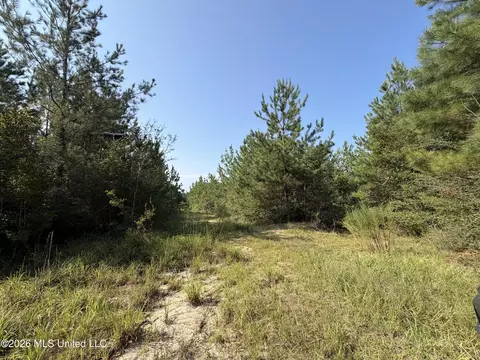 156 3 Acres Beesley Rd, Lucedale, MS 39452 photo 10