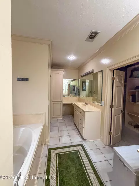 Bath - 137 Vineyard Blvd, Brandon, MS 39047 photo 3 of 4