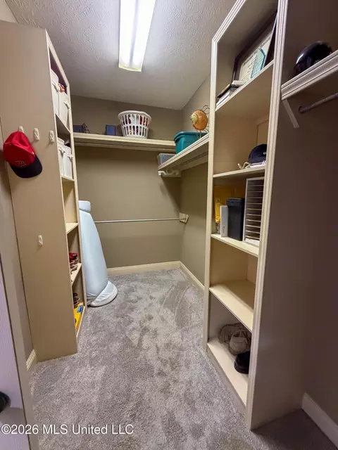 Other - 137 Vineyard Blvd, Brandon, MS 39047 photo 4 of 5