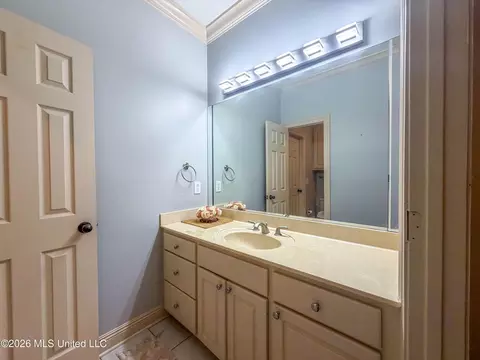 Bath - 137 Vineyard Blvd, Brandon, MS 39047 photo 4 of 4