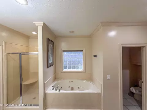 Bath - 137 Vineyard Blvd, Brandon, MS 39047 photo 1 of 4