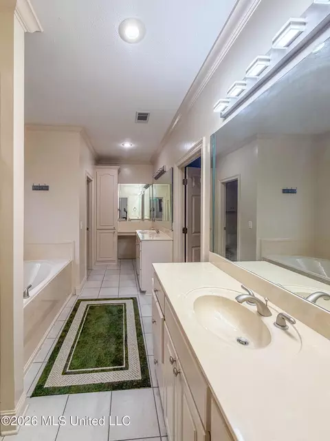 Bath - 137 Vineyard Blvd, Brandon, MS 39047 photo 2 of 4
