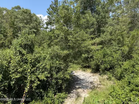 3 7 Acres Beesley Rd, Lucedale, MS 39452 photo 2