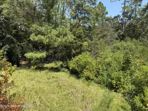 3 7 Acres Beesley Rd, Lucedale, MS 39452 photo 8