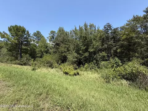 3 7 Acres Beesley Rd, Lucedale, MS 39452 photo 7