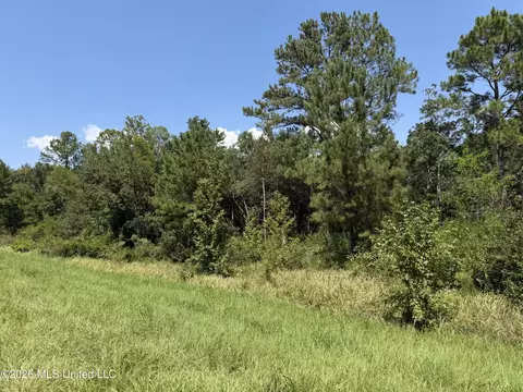 3 7 Acres Beesley Rd, Lucedale, MS 39452 photo 6