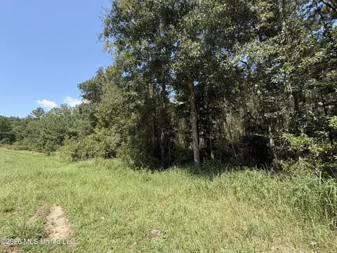 3 7 Acres Beesley Rd, Lucedale, MS 39452 photo 5