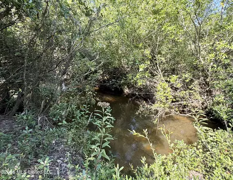 3 7 Acres Beesley Rd, Lucedale, MS 39452 photo 4
