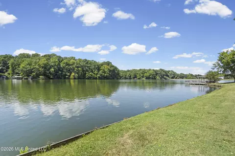 View/Area - 11360 1st Cypress Cv, Hernando, MS 38632 photo 1 of 4