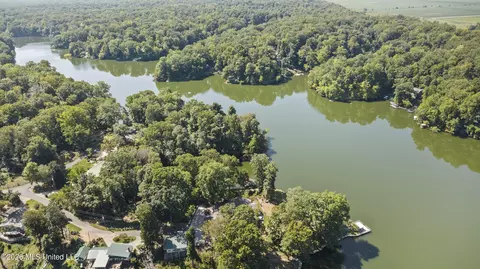 View/Area - 11360 1st Cypress Cv, Hernando, MS 38632 photo 3 of 4