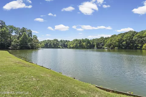 View/Area - 11360 1st Cypress Cv, Hernando, MS 38632 photo 2 of 4