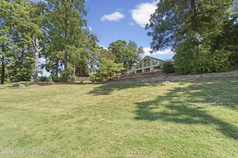 Exterior - 11360 1st Cypress Cv, Hernando, MS 38632 photo 9 of 14