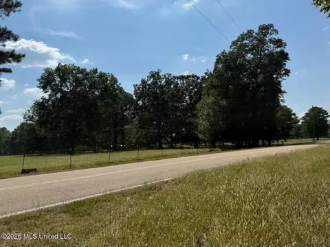Jims Road, Lena, MS 39094 photo 2
