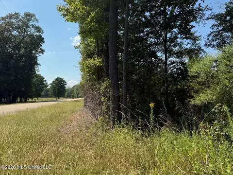 Jims Road, Lena, MS 39094 photo 3