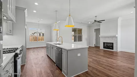 Other - 447 Baleigh Way, Canton, MS 39046 photo 3 of 15