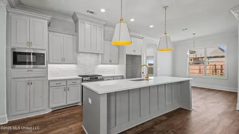 Kitchen - 447 Baleigh Way, Canton, MS 39046 photo 2 of 2