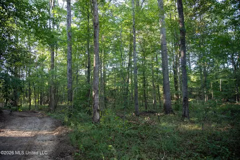 Owen Boone, Puckett, MS 39042 photo 19