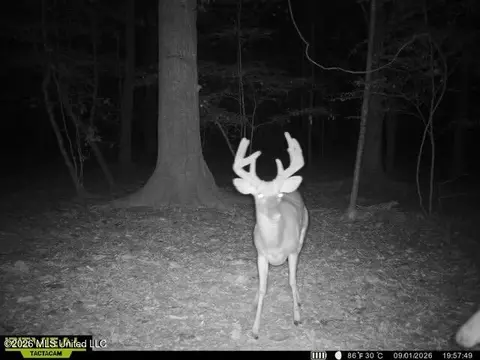 Owen Boone, Puckett, MS 39042 photo 8