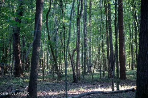 Owen Boone, Puckett, MS 39042 photo 25