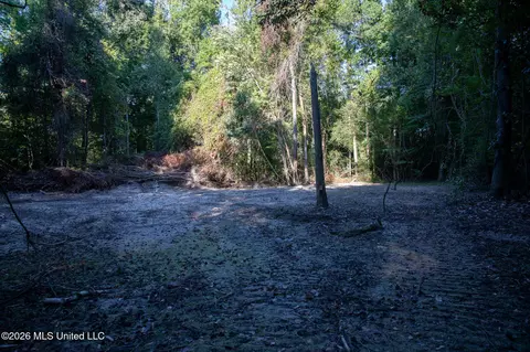 Owen Boone, Puckett, MS 39042 photo 33
