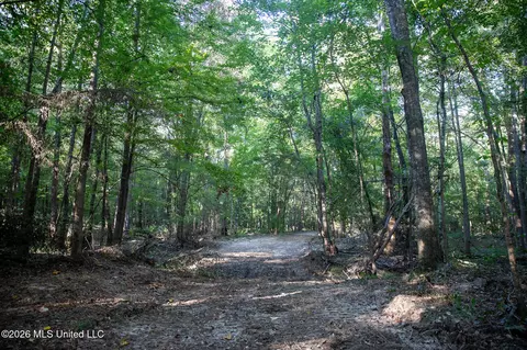 Owen Boone, Puckett, MS 39042 photo 36