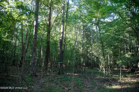 Owen Boone, Puckett, MS 39042 photo 38