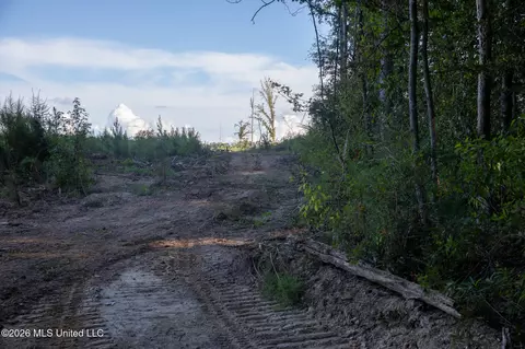Owen Boone, Puckett, MS 39042 photo 16