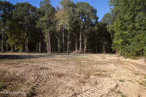 Owen Boone, Puckett, MS 39042 photo 42