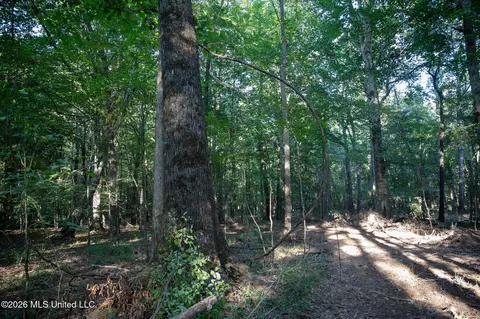 Owen Boone, Puckett, MS 39042 photo 37