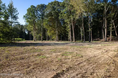 Owen Boone, Puckett, MS 39042 photo 41