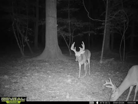 Owen Boone, Puckett, MS 39042 photo 44