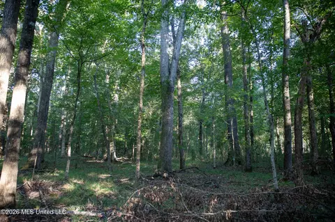 Owen Boone, Puckett, MS 39042 photo 23