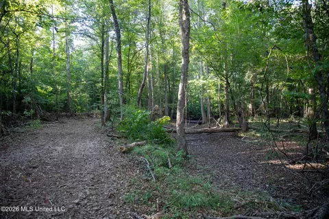 Owen Boone, Puckett, MS 39042 photo 32