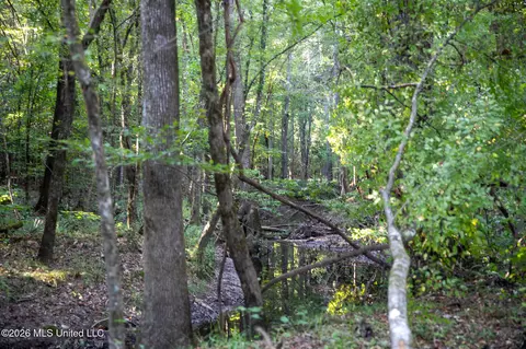 Owen Boone, Puckett, MS 39042 photo 30