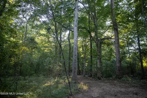 Owen Boone, Puckett, MS 39042 photo 22