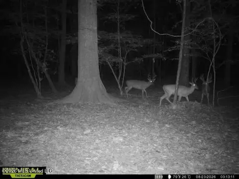Owen Boone, Puckett, MS 39042 photo 12