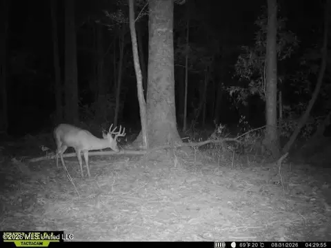Owen Boone, Puckett, MS 39042 photo 48
