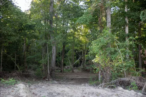 Owen Boone, Puckett, MS 39042 photo 14
