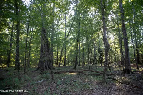 Owen Boone, Puckett, MS 39042 photo 21