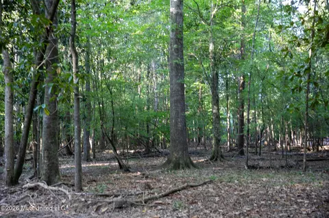 Owen Boone, Puckett, MS 39042 photo 29