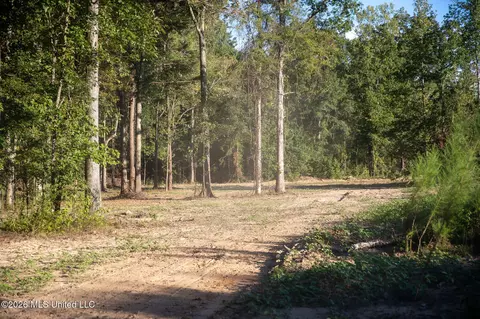 Owen Boone, Puckett, MS 39042 photo 15