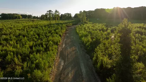 Owen Boone, Puckett, MS 39042 photo 9