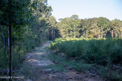 Owen Boone, Puckett, MS 39042 photo 18