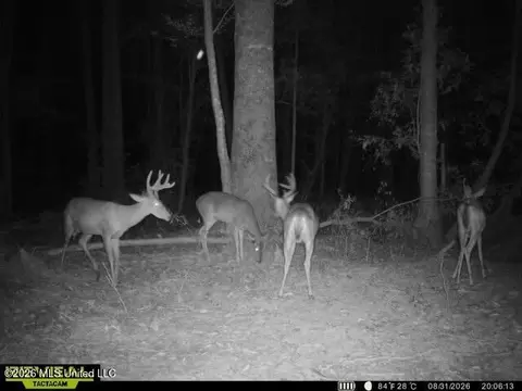 Owen Boone, Puckett, MS 39042 photo 47