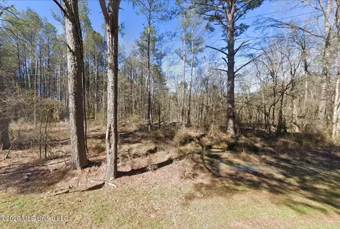 136 Mclin Ln, Brandon, MS 39047 photo 2