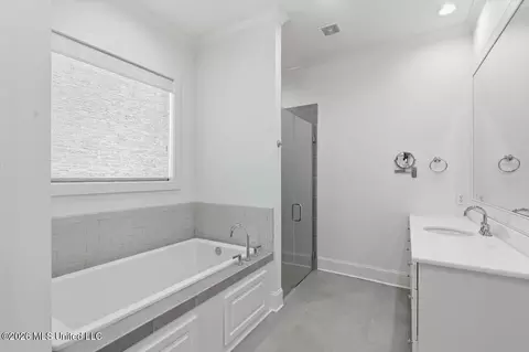 Bath - 334 Wellstone Pl, Madison, MS 39110 photo 1 of 6