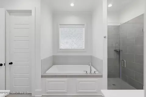 Bath - 334 Wellstone Pl, Madison, MS 39110 photo 2 of 6