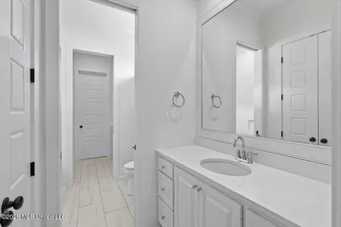 Bath - 334 Wellstone Pl, Madison, MS 39110 photo 5 of 6